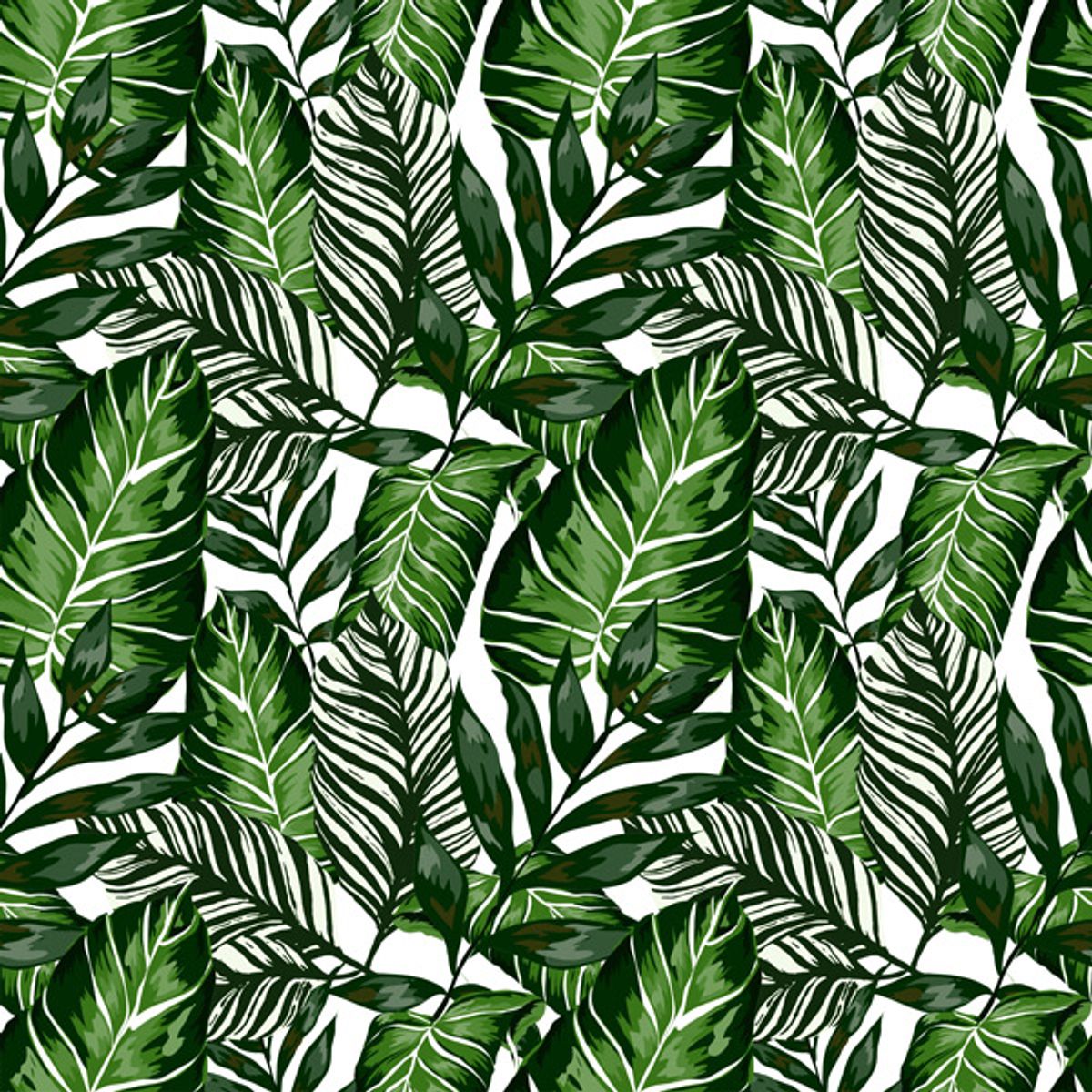 Vareprøve: Tropical kontaktplast
